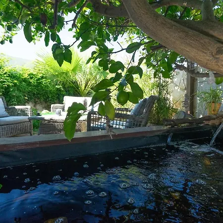 El Boticari By Aguilarent * Denia